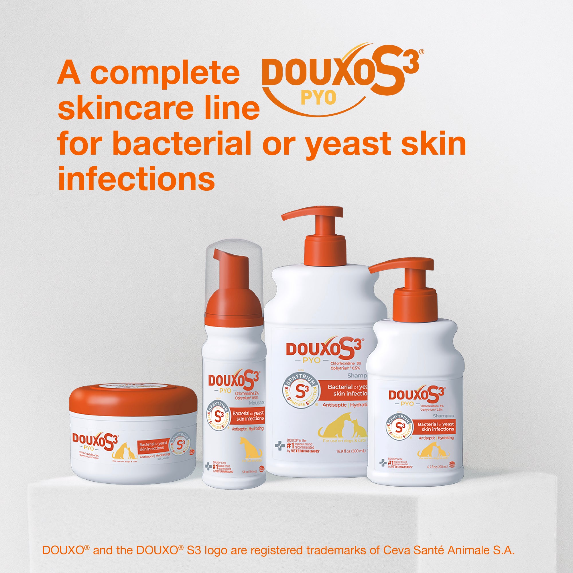 Douxo_S3_US_ATF_Mousse_PYO_Tile_8.jpg