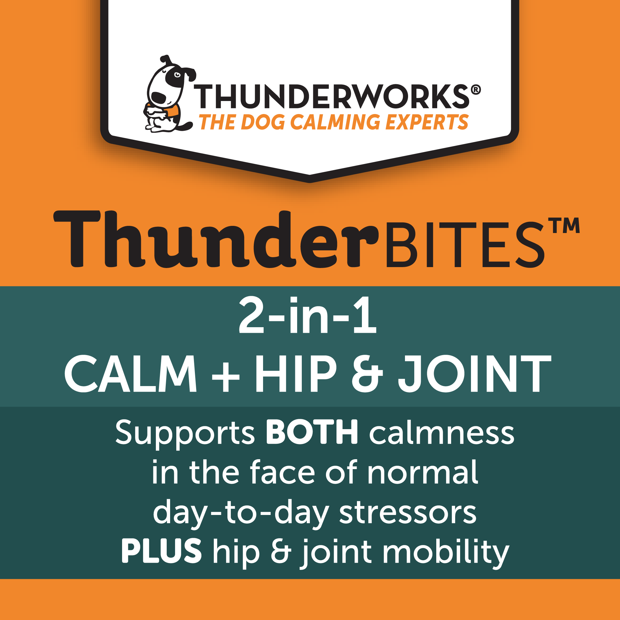 HipandJoint05_fba35aa1-da91-4106-a6c1-b5c0cccc733a.png