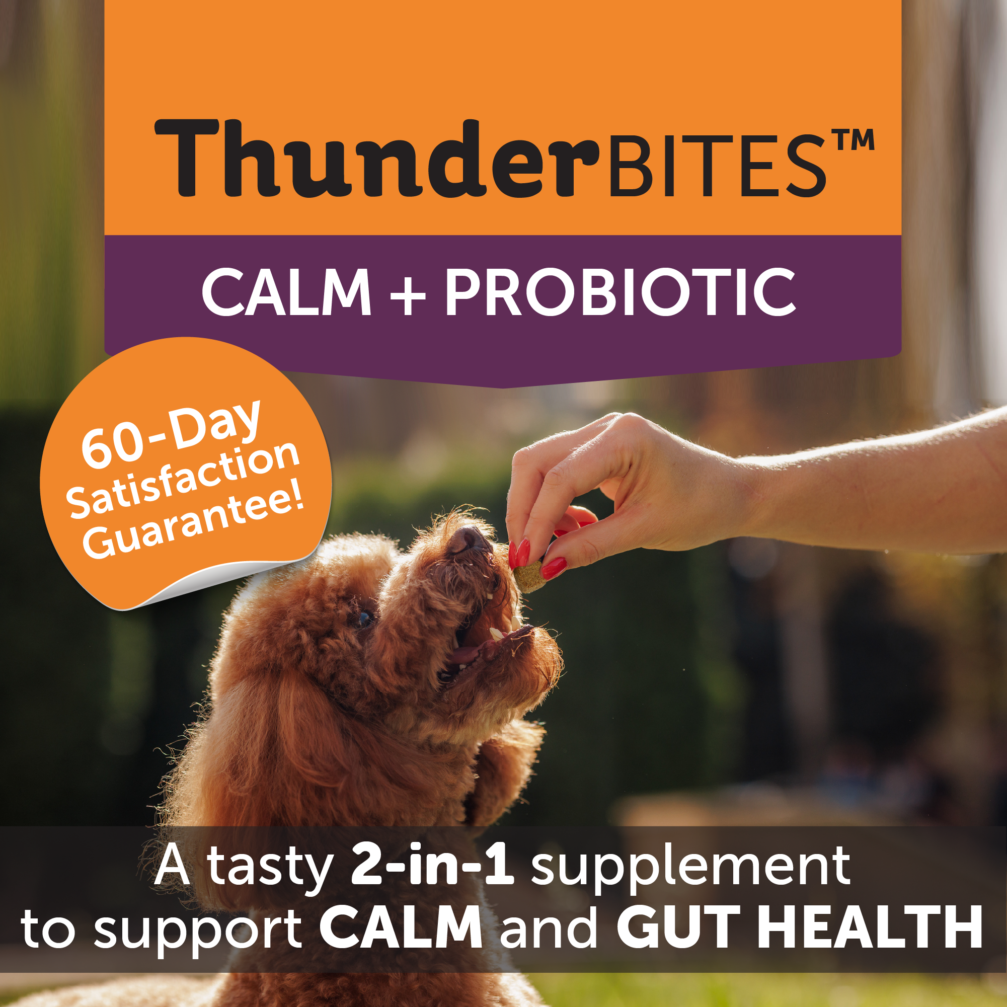 Probiotic02.png